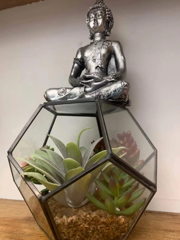 Silver Buddha statue with succulents